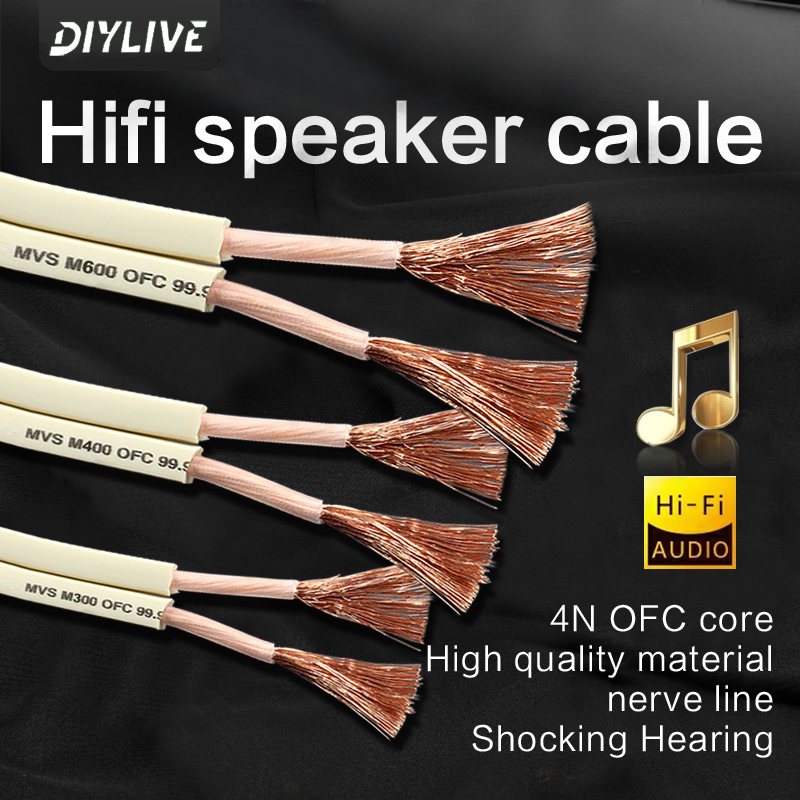 DIYLIVE HiFi Speaker line home - Home Cinema Cabasse avis et prix