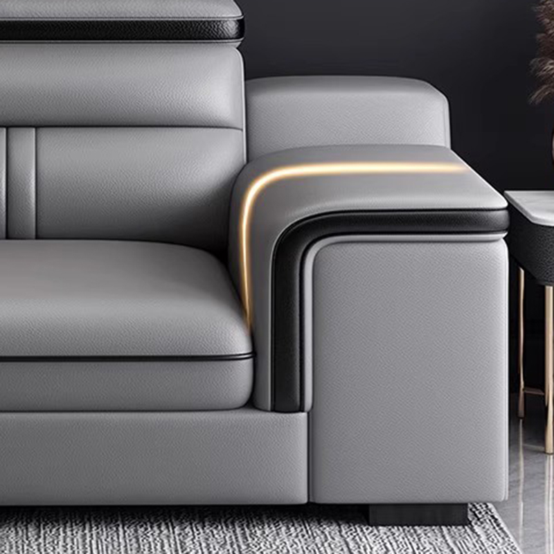 Apartment Modern Sofas Living  - Home Cinema Room Accessories avis et prix